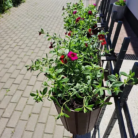 Apartman 75 M2 - Private House