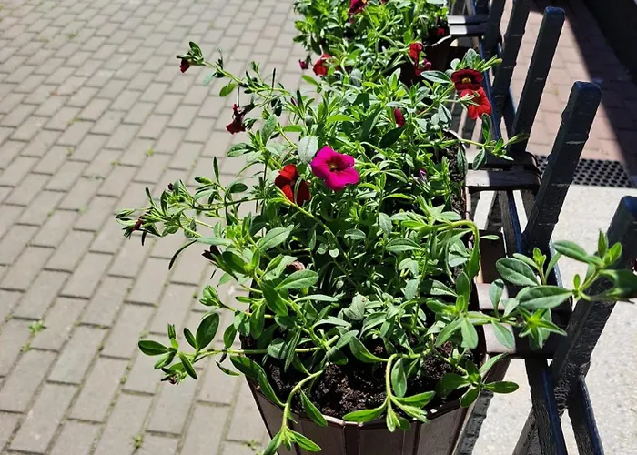 公寓 75 M2 - Private House